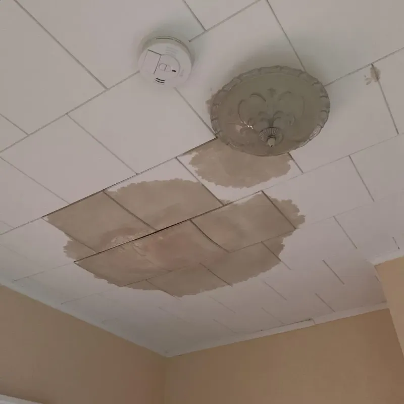 Ceiling Water Damage Repair in Norwell, MA