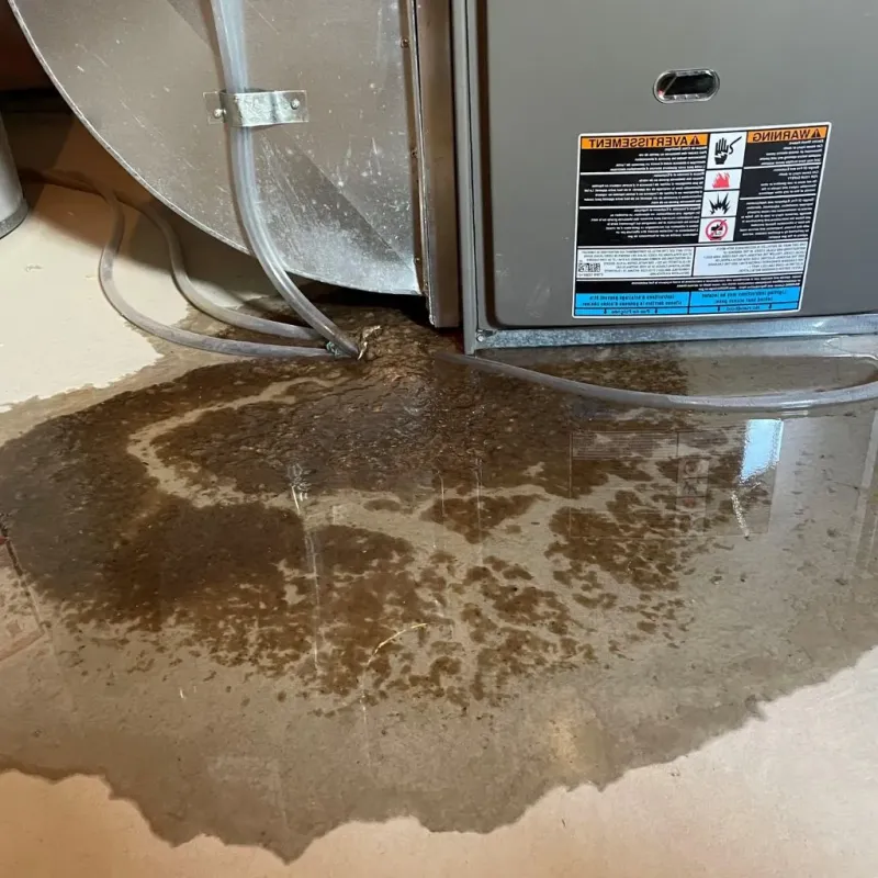 Pipe Burst and Leak Restoration in Norwell, MA